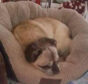 Meet your Posher, Don